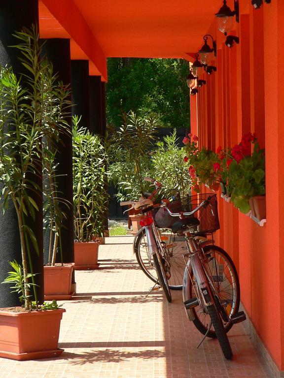 Rider Guest house 2*